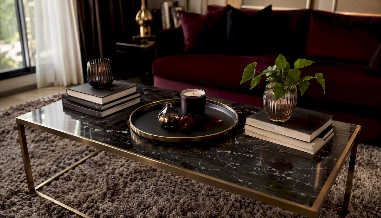 Styled luxury coffee table with tray and plant